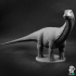 Apatosaurus/Brontosaurus - Dino print image