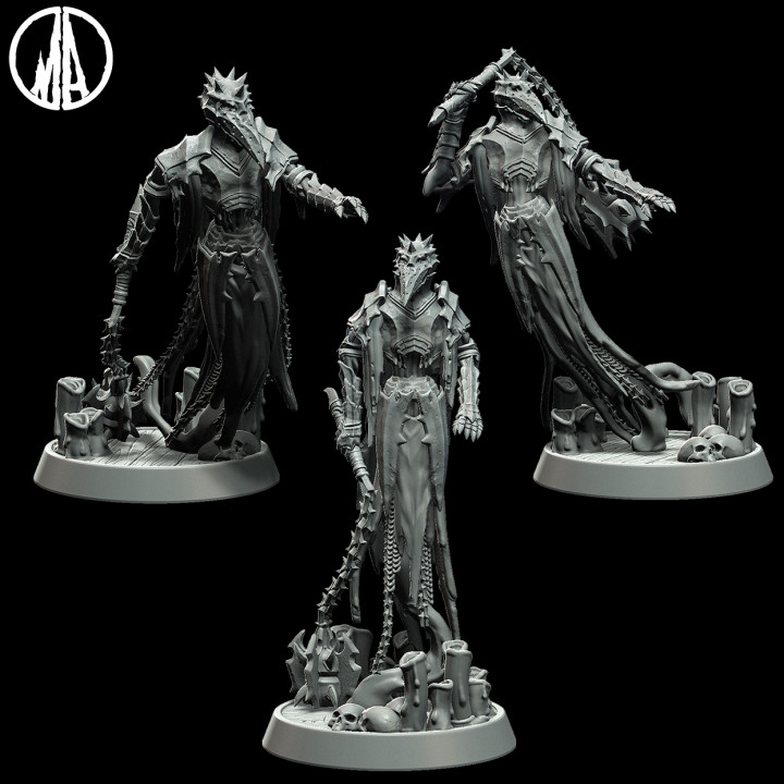 Plagued Wraith - Lost Souls - 3 Poses's Cover