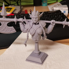 Picture of print of Goblin Queen bust pre-supported