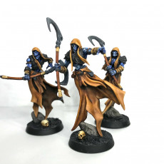 Picture of print of Skutagaard Wraiths - 4 Modular Units - Darkness of the Lich Lord