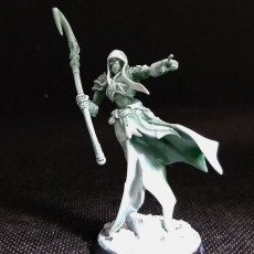 Picture of print of Skutagaard Wraiths - 4 Modular Units - Darkness of the Lich Lord