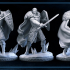 Mercenary  - Man-at-arms - Osmond - FREEZING DARKNESS - MASTERS OF DUNGEONS QUEST image