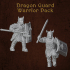 Dragon Guard Warriors image