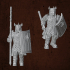 Dragon Guard Warriors image