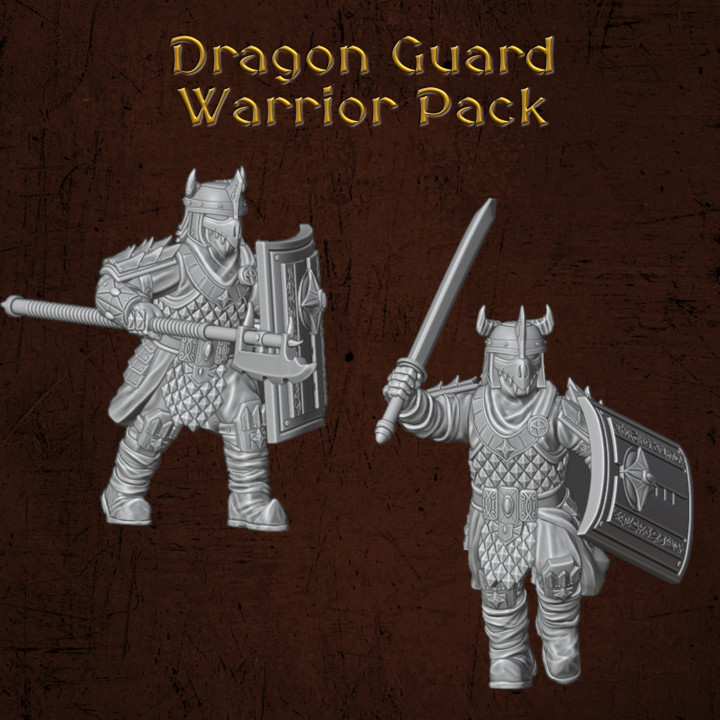 Dragon Guard Warriors's Cover