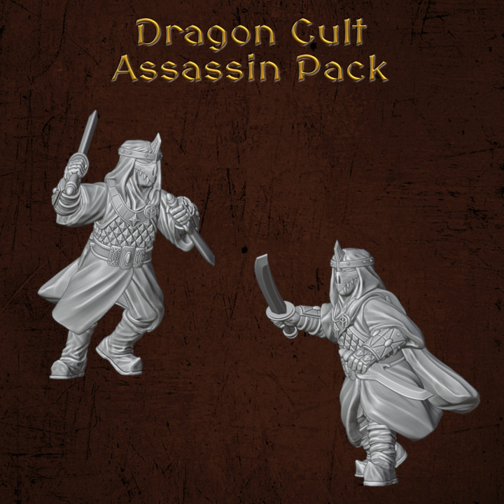 Dragon Cult Assassins's Cover