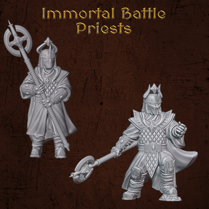 Immortal Battle Priests's Cover
