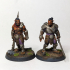 Hobgoblin Warband - Book of Beasts - Tabletop Miniatures (Pre-Supported) print image