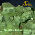 AEPCEF9 – Peaceful Gnome Homes image