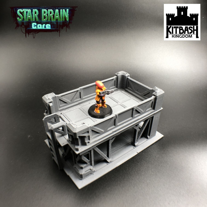 Starbrain Core - Low Scaffold's Cover