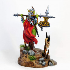 Picture of print of Goblin Queen 32mm and 75mm pre-supported