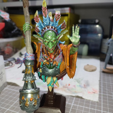 Picture of print of Goblin shaman bust pre-supported