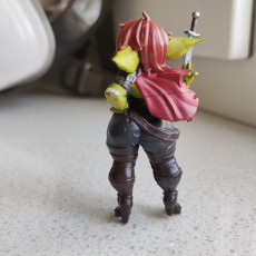 Picture of print of Meryl the Goblin Rogue This print has been uploaded by Anton