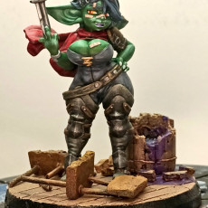 Picture of print of Meryl the Goblin Rogue