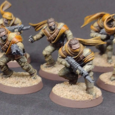 Picture of print of Desert Raiders - Squad of the Imperial Force