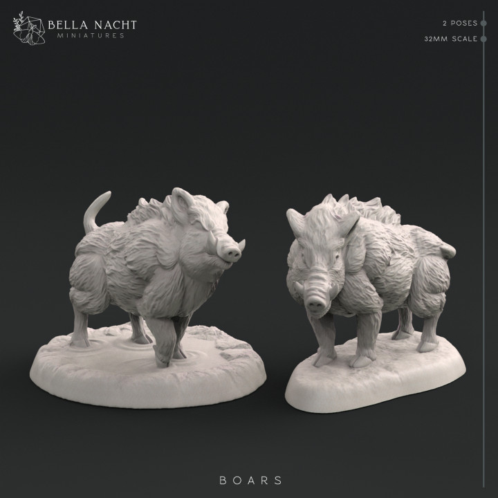 $5.00Boars | 32mm Scale | 2 Poses