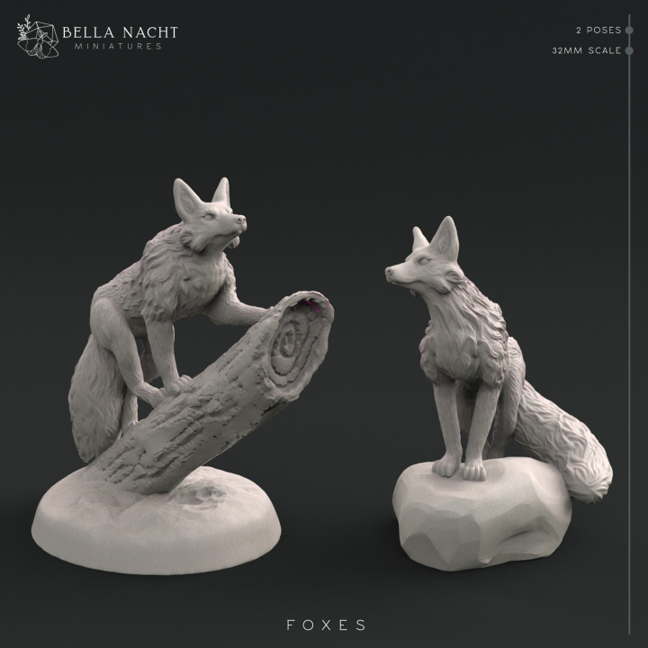 $5.00Foxes | 32mm scale | 2 Poses