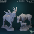 Moose Family image
