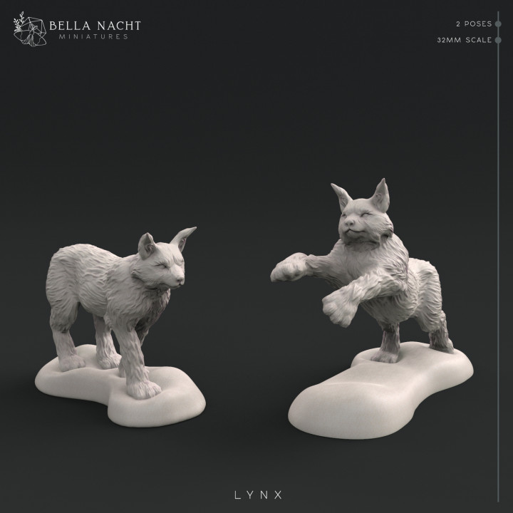 $5.00Lynxes | 32mm Scale | 2 Poses