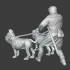 Medieval Dogs of War - attack dogs image