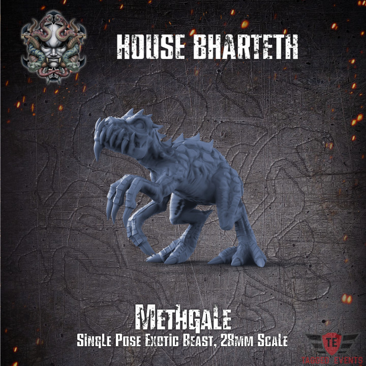 House Bharteth - Methgale's Cover
