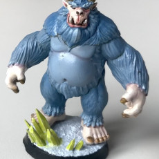 Picture of print of Yeti