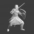 Medieval knight - Swerd Brethern/Livonian Knights image
