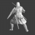 Medieval knight - Swerd Brethern/Livonian Knights image