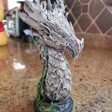 Picture of print of Forest Dragon bust (Pre-Supported)