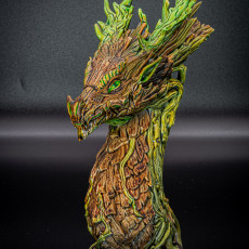 Picture of print of Forest Dragon bust (Pre-Supported)