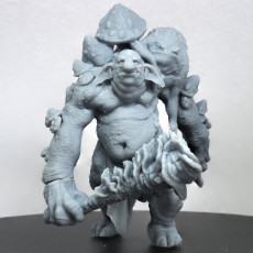 Picture of print of Goblin Fungal Troll (pre-supported)