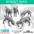 Hungry Dogs (Harvest of War) image