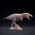 Tyrannosaurus Rex - dinosaur carnivore image
