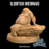 Blobmaid | Presupported | Mermaid Fish Blobfish image