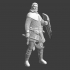 Medieval Knight - Robert The Bruce image