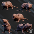 Crypt's Rats image