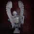 Winged Hussar XVII Century Bust Presupported image