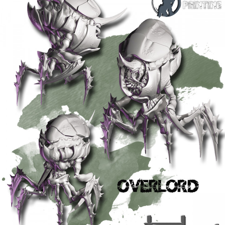 Overlord's Cover