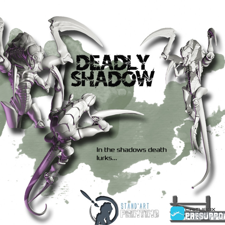 Deadly Shadow's Cover