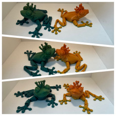 Picture of print of Flexi Print-in-Place Frog Prince and Princess Prusa and Bambu painted 3mf files now added!