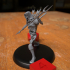 Draugr Undead Skeleton Fighter Warrior Spearman image