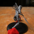 Draugr Undead Skeleton Fighter Warrior Spearman image