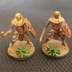 Picture of print of Nile Warriors  - 32mm scale