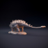 Eouplocephalus - armored dinosaur image