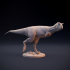 Carnotaurus walking - dinosaur carnivore image