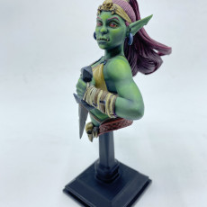 Picture of print of Goblin Thief bust pre-supported