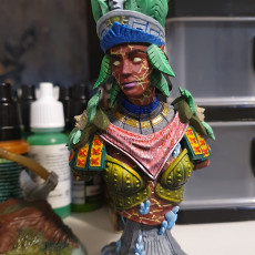 Picture of print of BUST - Earth Genasi Geomancer - Ruby Silt