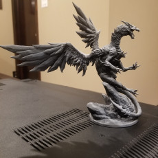 Picture of print of Adult Steel Dragon