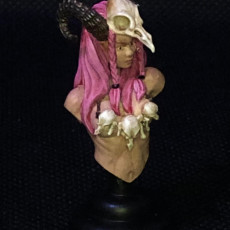 Picture of print of Calyce the forest witch - bust