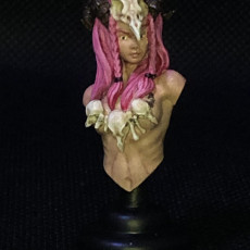 Picture of print of Calyce the forest witch - bust